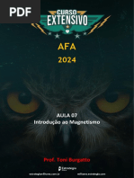 Aula 07 - Cargas Elétricas e Campo Magnético - AFA 2024