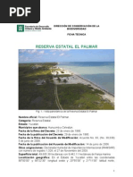 Download El Palmar Sisal by Katy Details SN65938170 doc pdf