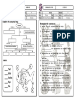 SCM - 4° Science - Worksheet 8