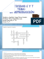 Actividad C y T (La Reproduccion)