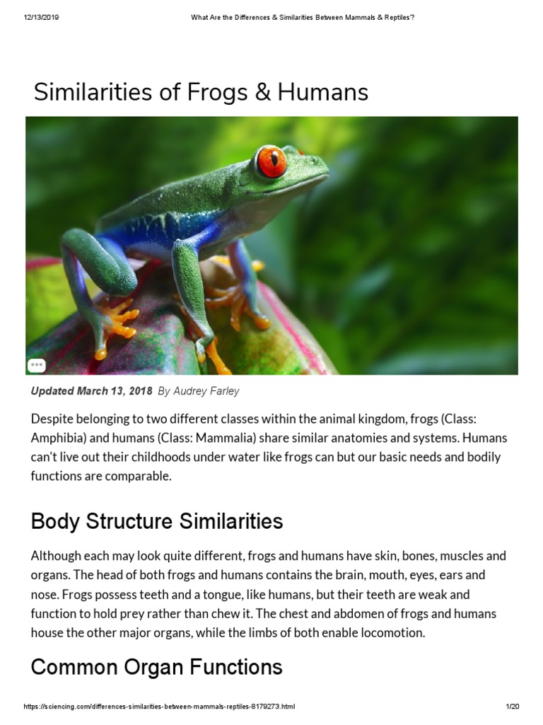 What - Are - The - Difference and Similarities - Between - Mammals and