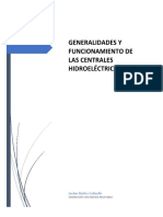 Generalidades y Funcionamiento de Las Centrales Hidroeléctricas