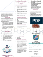 Caramelos Medicinales Triptico PDF