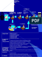 5.2 Circuito de Importacion _callao (1)