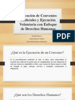 Ejecución de Convenios Judiciales - Derechos Humanos