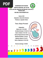 Etapa Prenatal