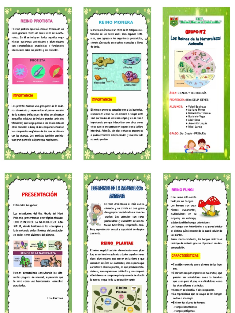 Triptico LOS REINOS DE LA NATURALEZA ANIMALIA | PDF | Plantas | Hongo