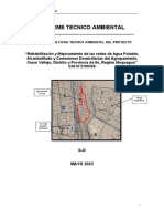 Informe Tecnico Ambiental