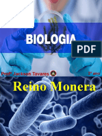 Reino Monera - Parte III - Importância Das Bactérias (2º Ano)