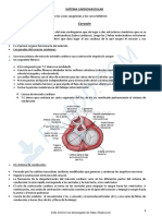 Sistema Cardiovascular Histologia