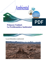 Derecho Ambiental 1 Problematica Ambiental