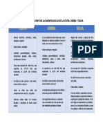 Cuadro Comparativo de Las Morfologías de La Costa