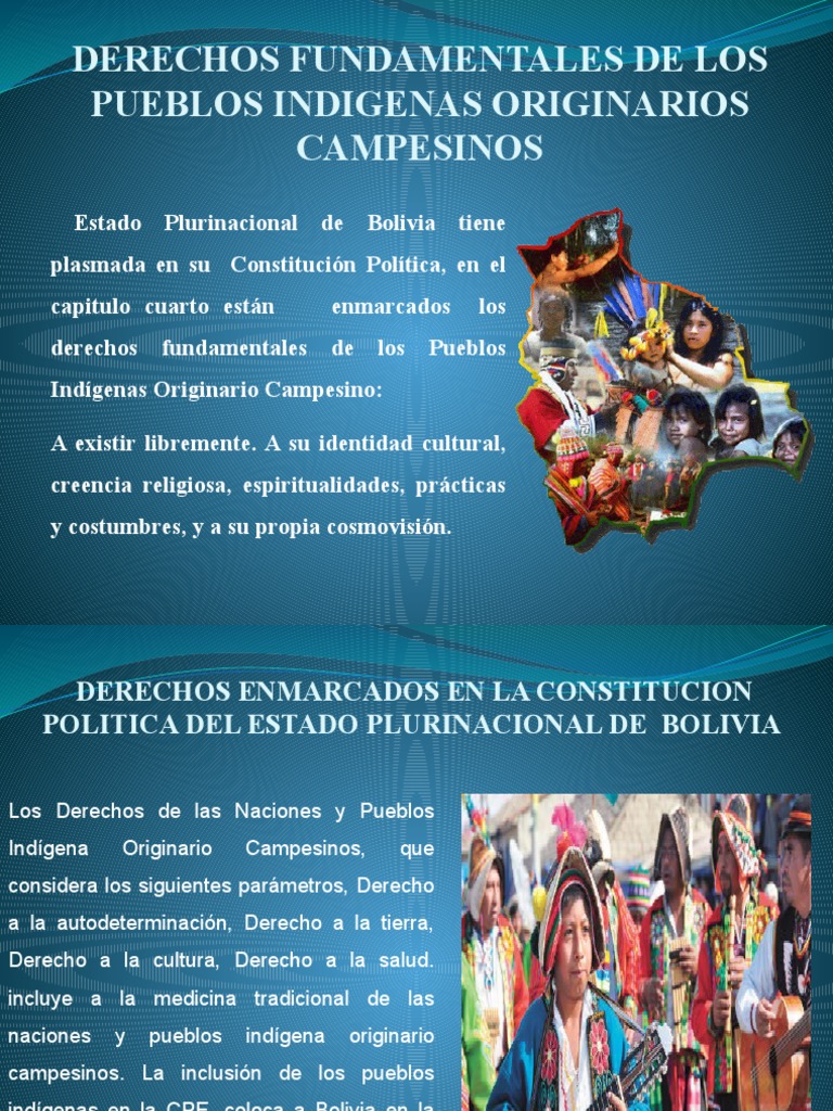 Derechos Fundamentales de Los Pueblos Indigenas Originarios Campesinos ...