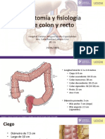 Anatomía y Fisiología de Colon y Recto