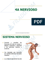 Sistema - Nervioso-1 3