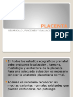 Placenta