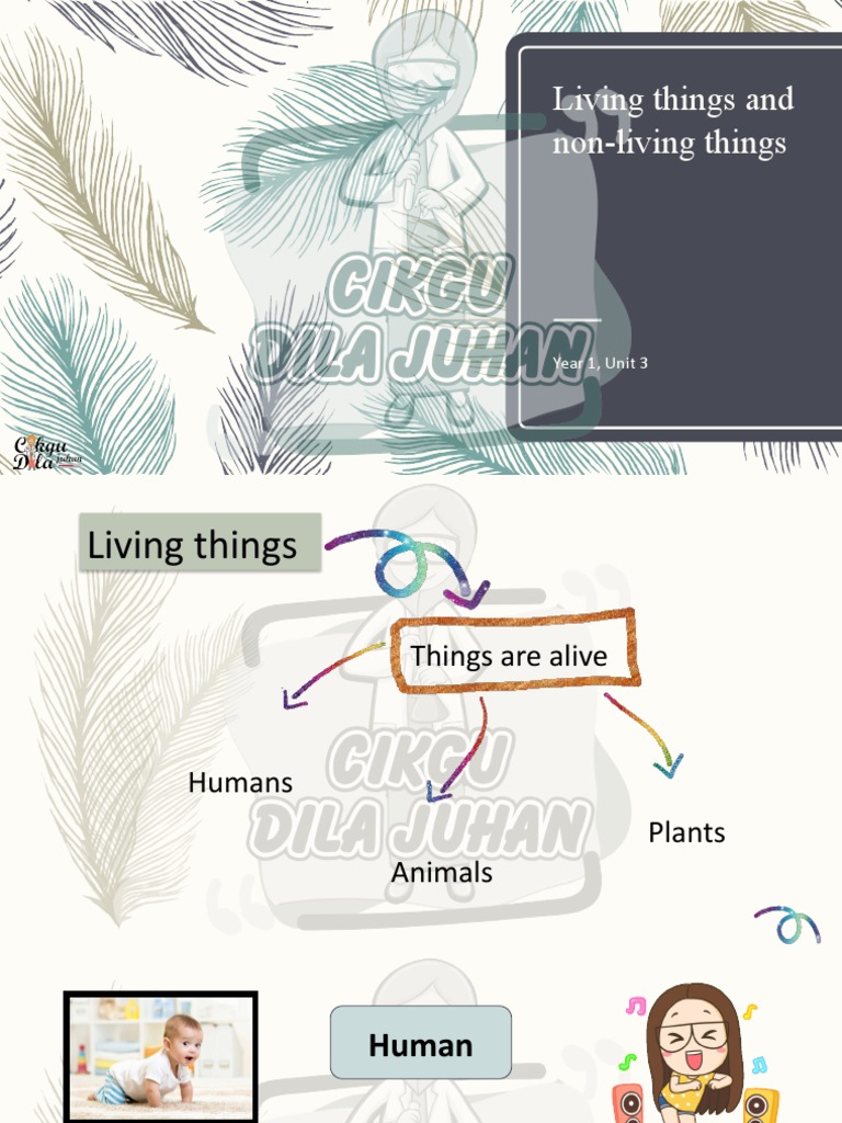 Science Year 1, C3, Living Things and Non-Living Things | PDF | Water ...