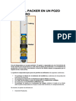 PDF Informe Packer - Compress