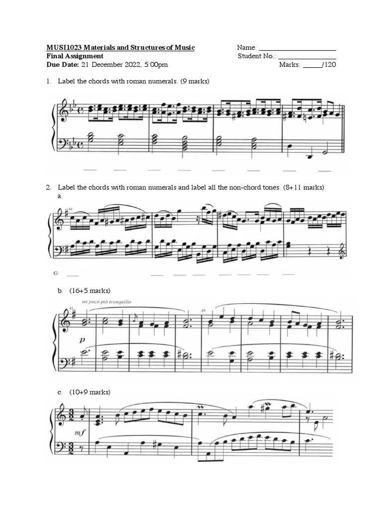 MUSI1023 Final Assignment Guidelines | PDF