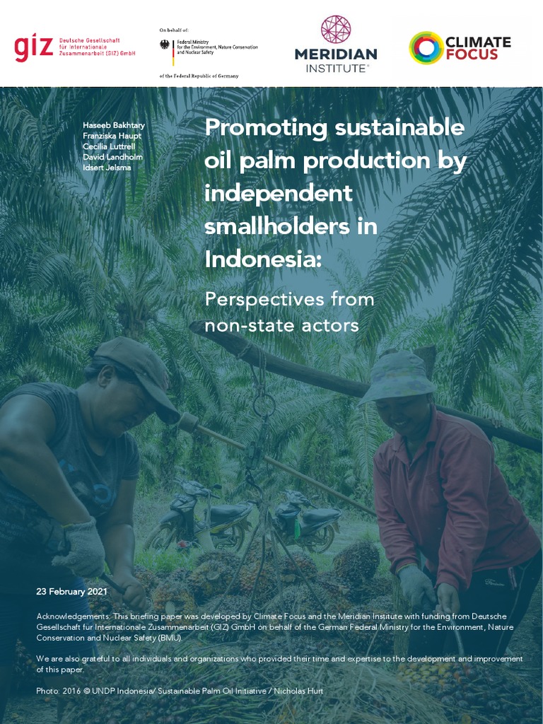 Indonesian Palm Oil Smallholders Briefing Paper Pdf Smallholding