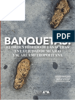 Banquetas. El Orden Hibrido de Las Aceras en La Ciudad de Mexico y Su Area Metropolitana. Digital Libre