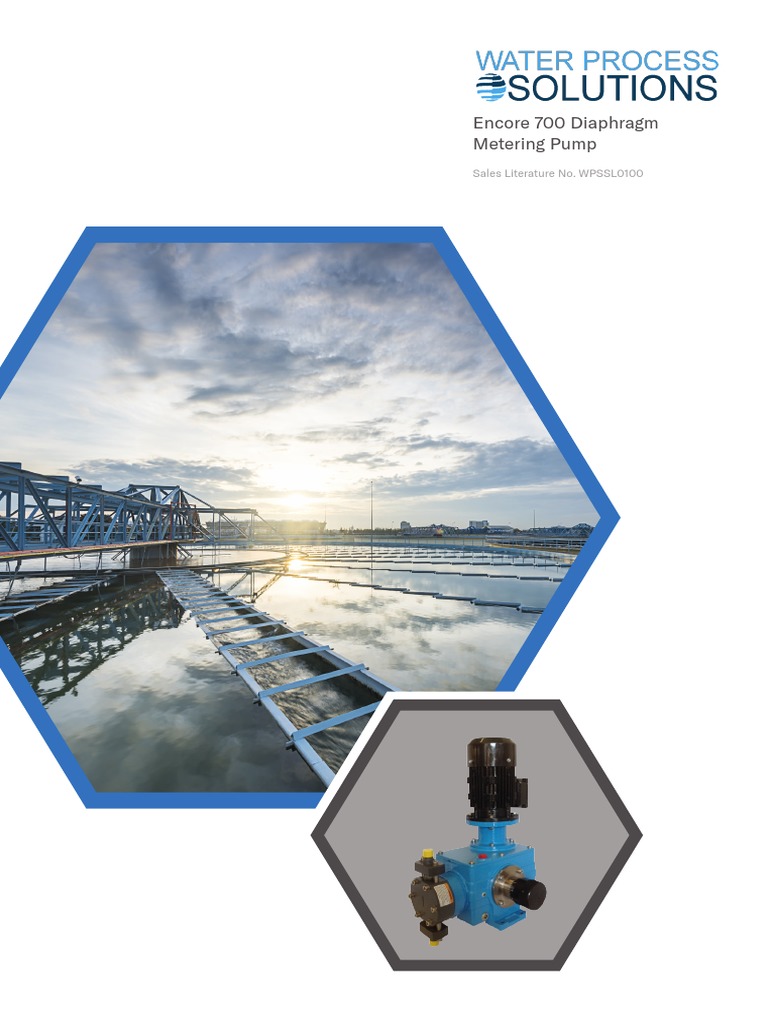 Encore 700 Diaphragm Pump 1 Download Free PDF Pump Valve