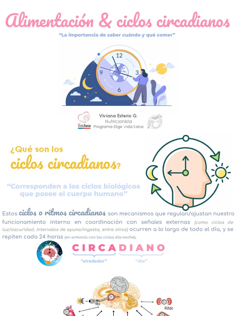 2022-Ritmos Circadianos & Alimentación | PDF | Ritmo circadiano | Alimentos