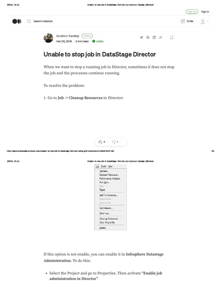 Stopping Jobs in DataStage Director | PDF | Data Management | Software
