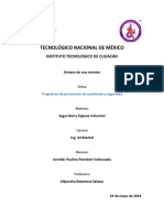 Sintesis de Una Revisión. Seg. e Hig. Industrial