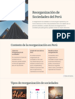 Reorganizacion de Sociedades Del Peru