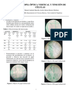 Informe Micros