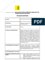 TDR DIrector/a Ejecutivo