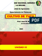 Aulas Yuca - Unidad III - 2020