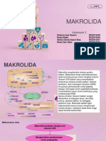Kelompok 3 - Golongan Makrolida