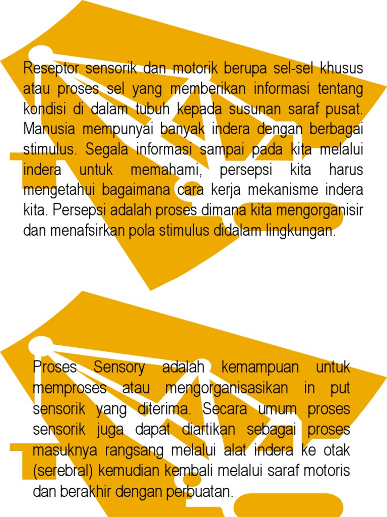 Proses Sensorik dan Motorik Manusia | PDF | Sains & Matematika