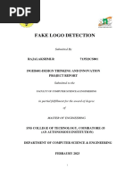 Fake Logo Detection DT Report