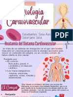 Semiologia Cardiovascular