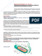 SESION52DOGRADO CT - dISEÑAMOS PROTOTIPO DE CELULAS - MML