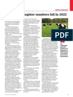 Veterinary Record - 2023 - Gray - Bovine TB Slaughter Numbers Fall in 2022