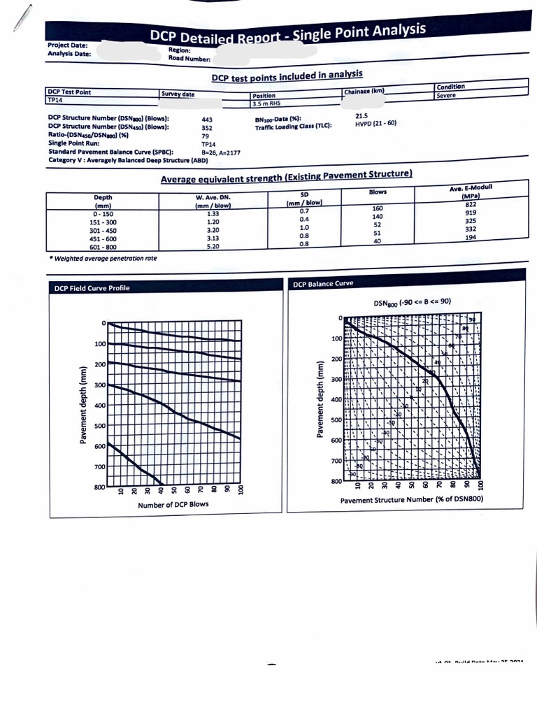 DCP Detailed Report | PDF