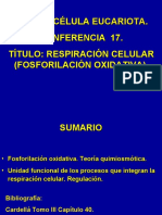 Conferencia 17 La Fosforilación Oxidativa