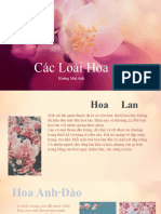 Các Loài Hoa