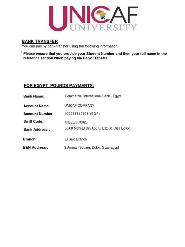 Payment Methods Egypt PDF