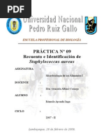 Download Microbiologia de AlimentosPractica n 09-Recuento e identificacion de Staphylococcus aureus by Romulo Aycachi Inga SN6595039 doc pdf