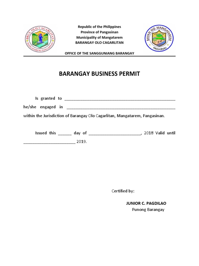 Business Permit | PDF