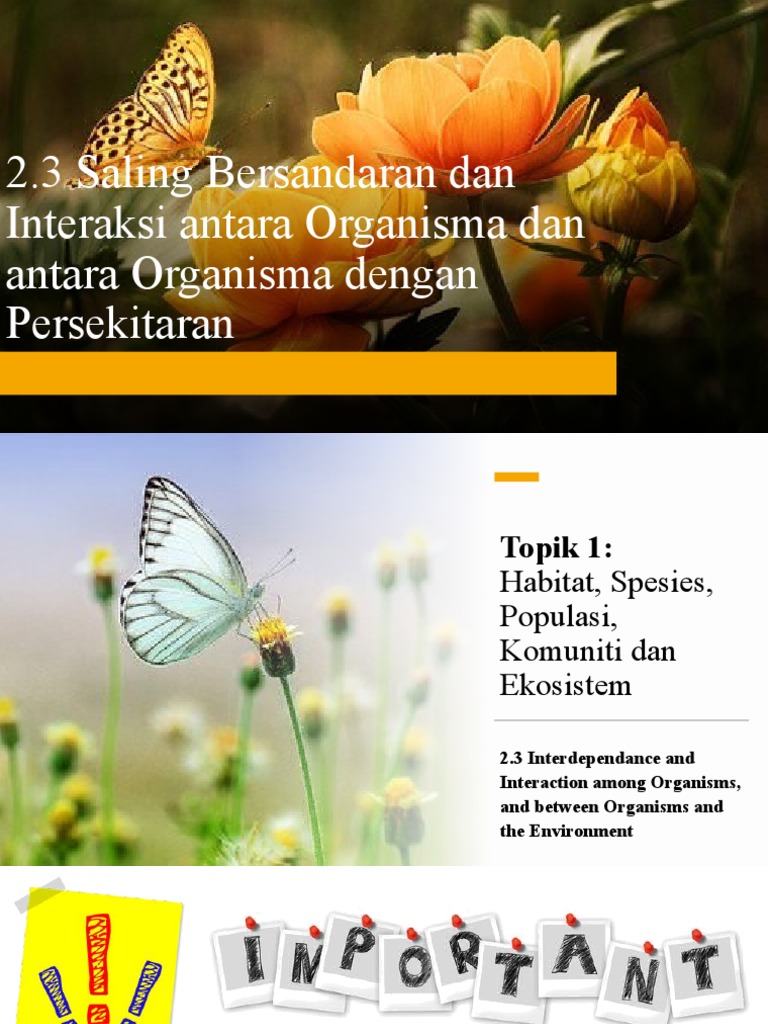 2.3 (A) Habitat, Spesies, Populasi, Komuniti Dan Ekosistem | PDF