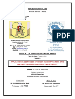 Rapport de Stage Annee2V2 REVU