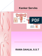 Kanker Serviks1