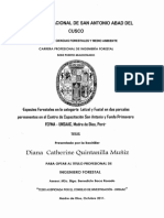 Diana Catherine Quintanilla Muñiz: Universidad Nacional de San Antonio Abad Del