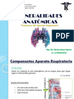 Generalidades Anatómicas: Trastornos Del Aparato Respiratorio